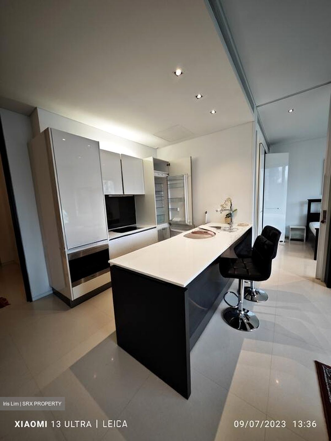 Scotts Square (D9), Apartment #508177601